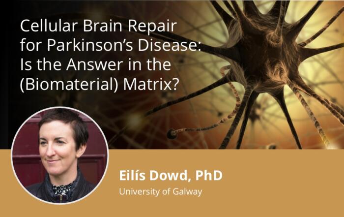 Cellular Brain Repair for Parkinson’s Disease: Is the Answer in the (Biomaterial) Matrix?