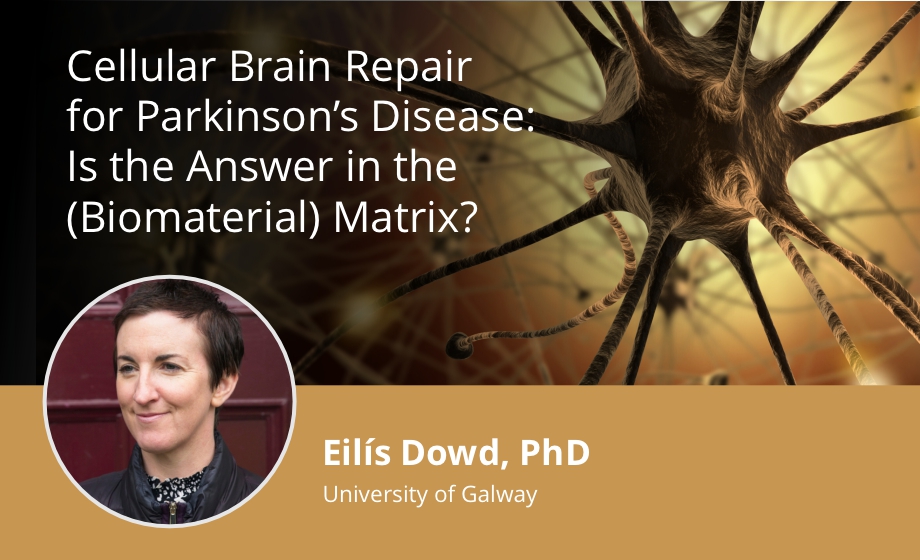 Cellular Brain Repair for Parkinson's Disease