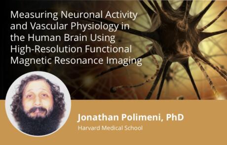 Measuring Neuronal Activity and Vascular Physiology in the Human Brain Using High-Resolution Functional Magnetic Resonance Imaging