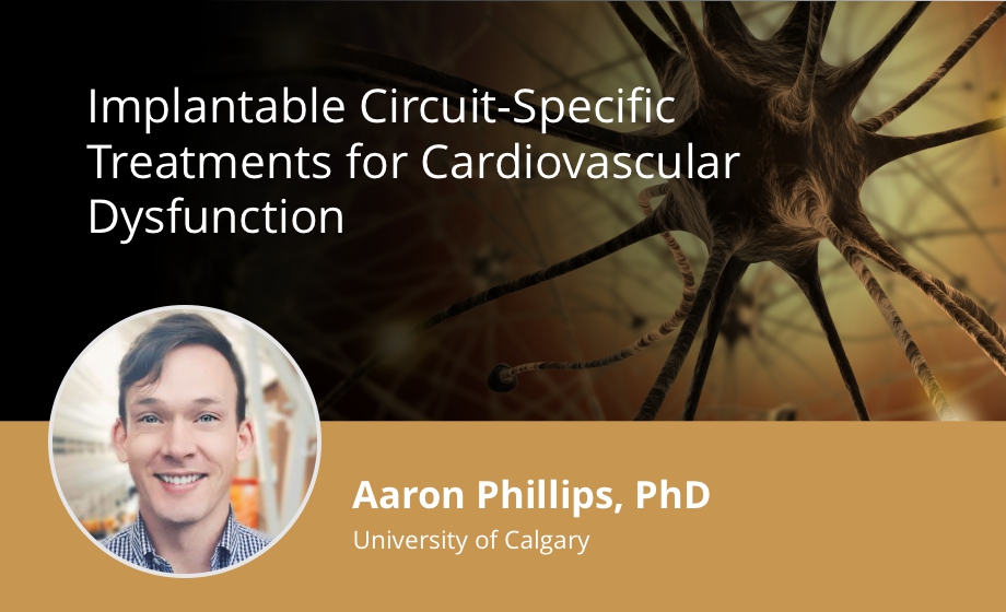 Implantable Circuit-Specific Treatments for Cardiovascular Dysfunction