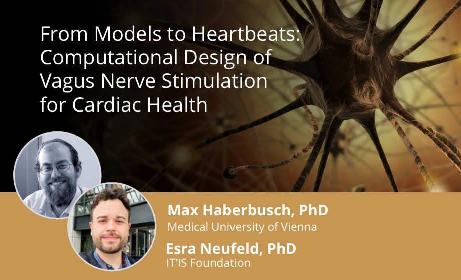 From Models to Heartbeats - Computational Design of Vagus Nerve Stimulation for Cardiac Health