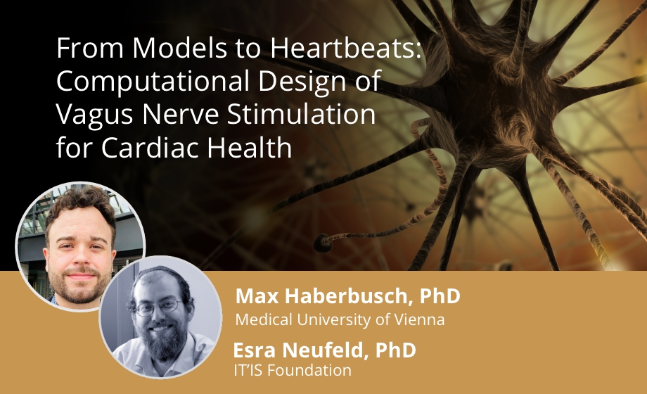 From Models to Heartbeats - Computational Design of Vagus Nerve Stimulation for Cardiac Health