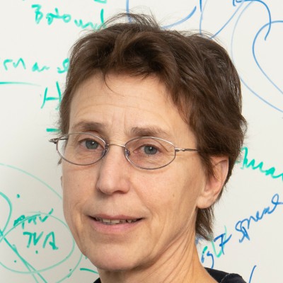 Constance Cepko, ;PhD