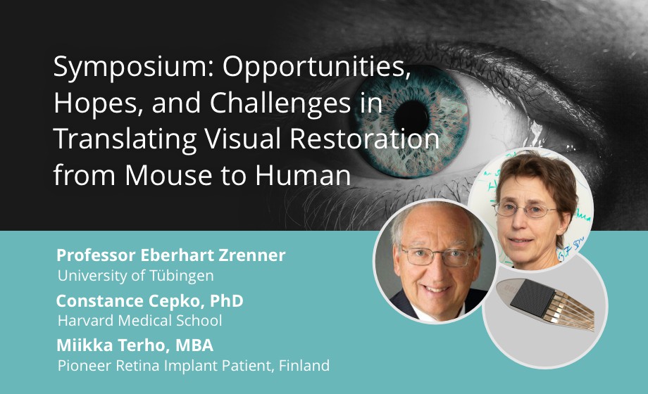 Visual Restoration from Mouse to Human