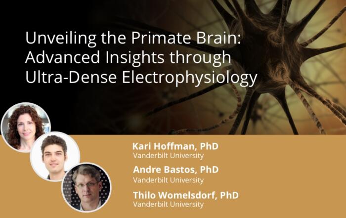 Unveiling the Primate Brain: Advanced Insights through Ultra-Dense Electrophysiology