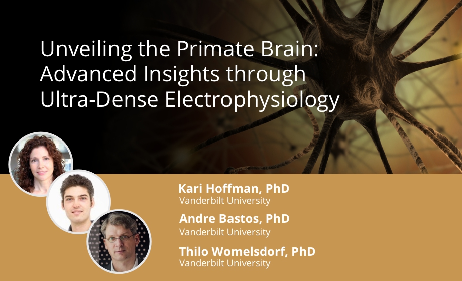 Unveiling the Primate Brain- Advanced Insights through Ultra-Dense Electrophysiology