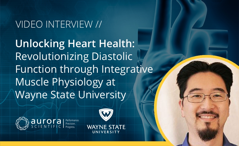 Unlocking Heart Health: Revolutionizing Diastolic Function through Integrative Muscle Physiology at Wayne State University