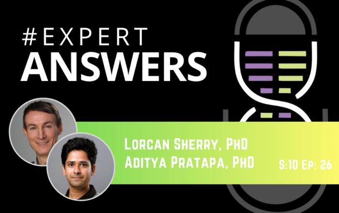 #ExpertAnswers: Lorcan Sherry and Aditya Pratapa on Analyzing Multiplex Immunofluorescence Images
