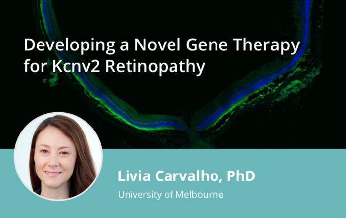 Developing a Novel Gene Therapy for Kcnv2 Retinopathy